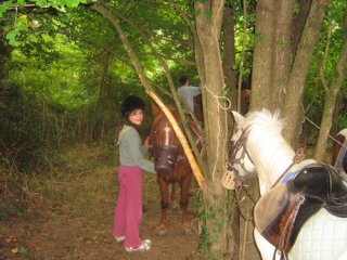  Paseo con el centro ecuestre 